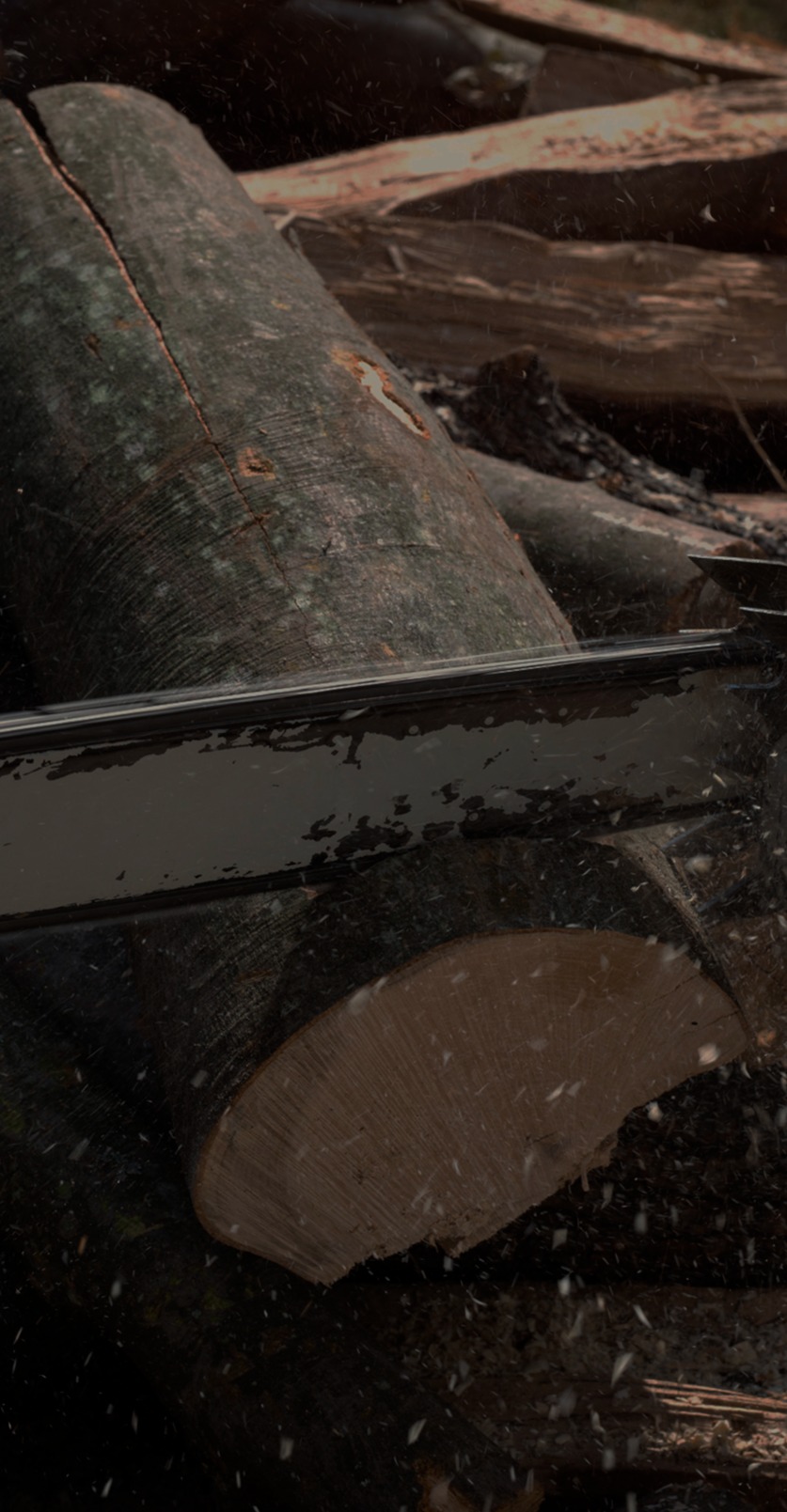 lumberjack-cutting-wood-with-chainsaw copy-1