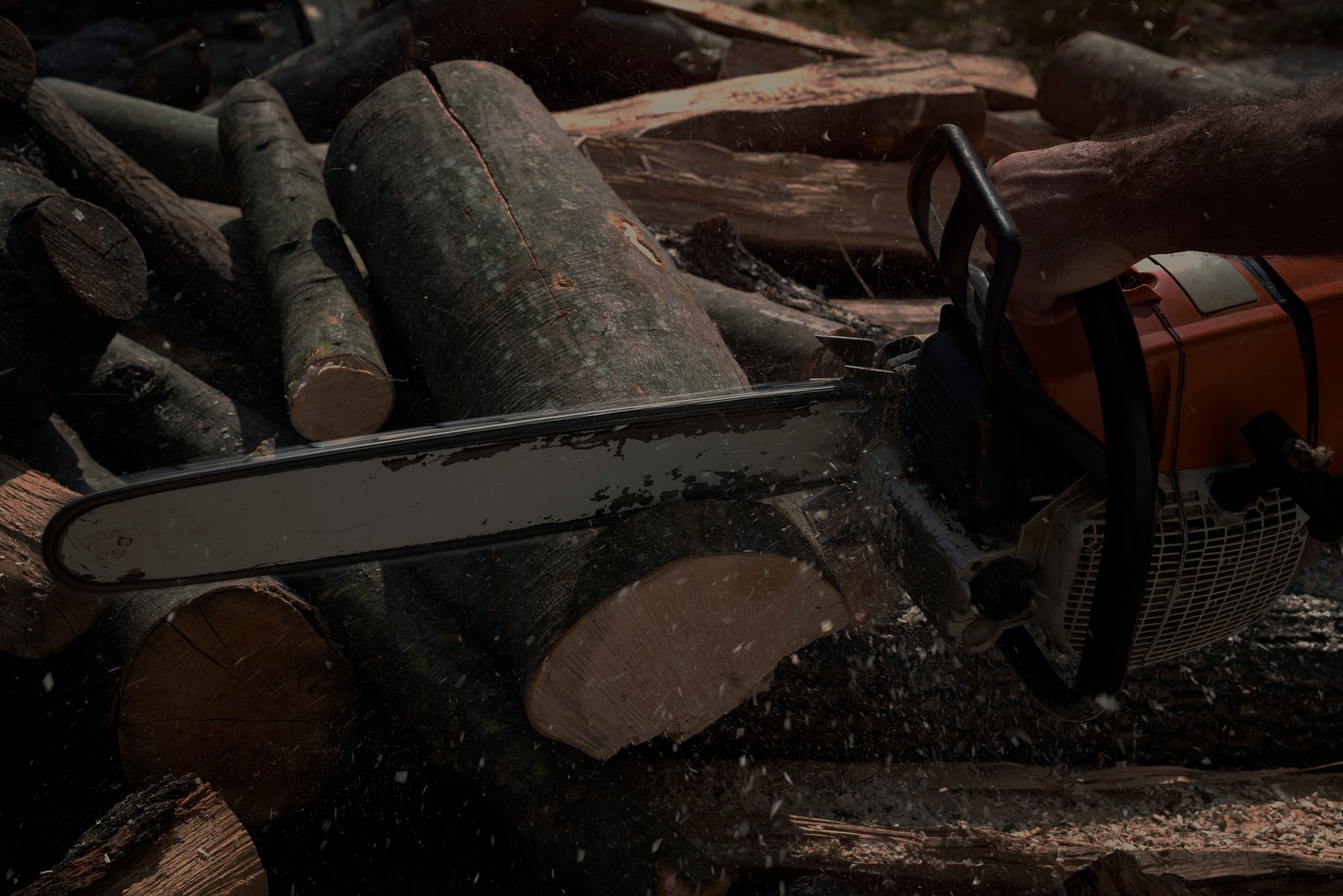 lumberjack-cutting-wood-with-chainsaw copy-1