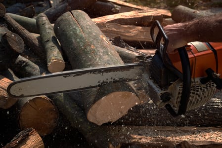 lumberjack-cutting-wood-with-chainsaw copy