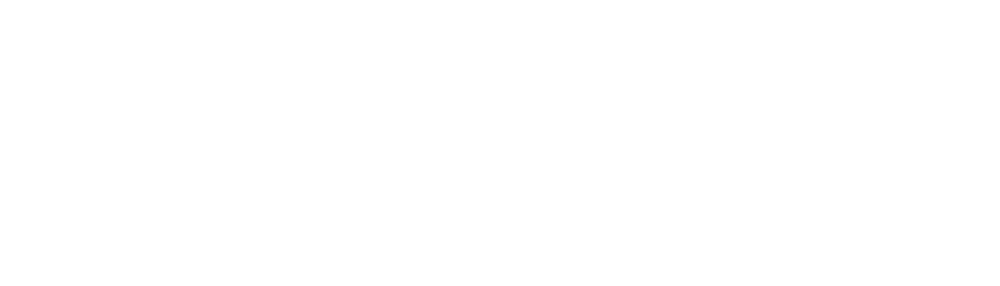 TH Digital Logo_White_1